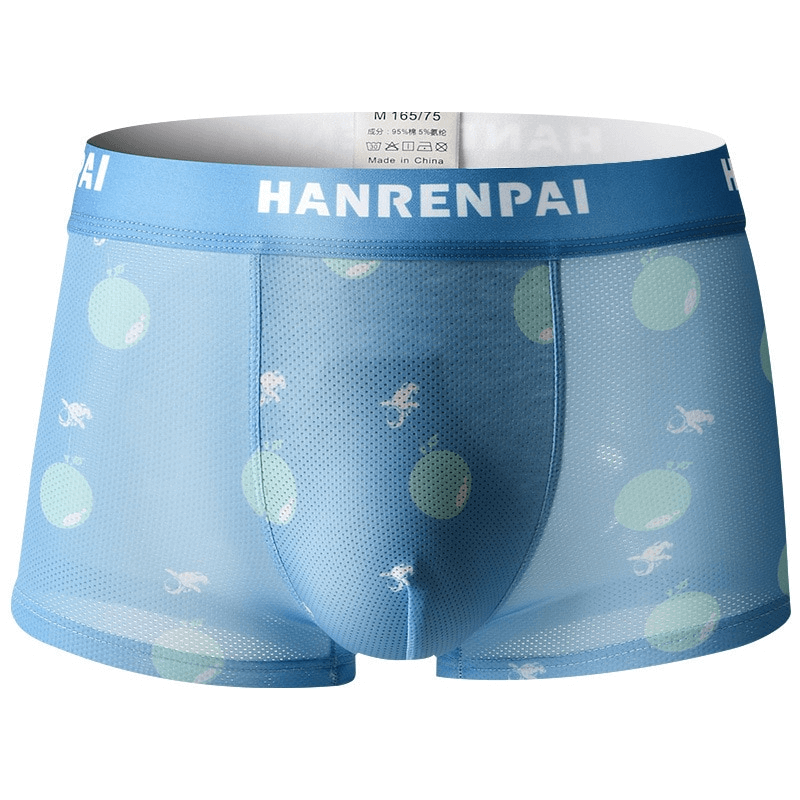 Stylish Men's Boxers with Breathable Net-Print - SF0749