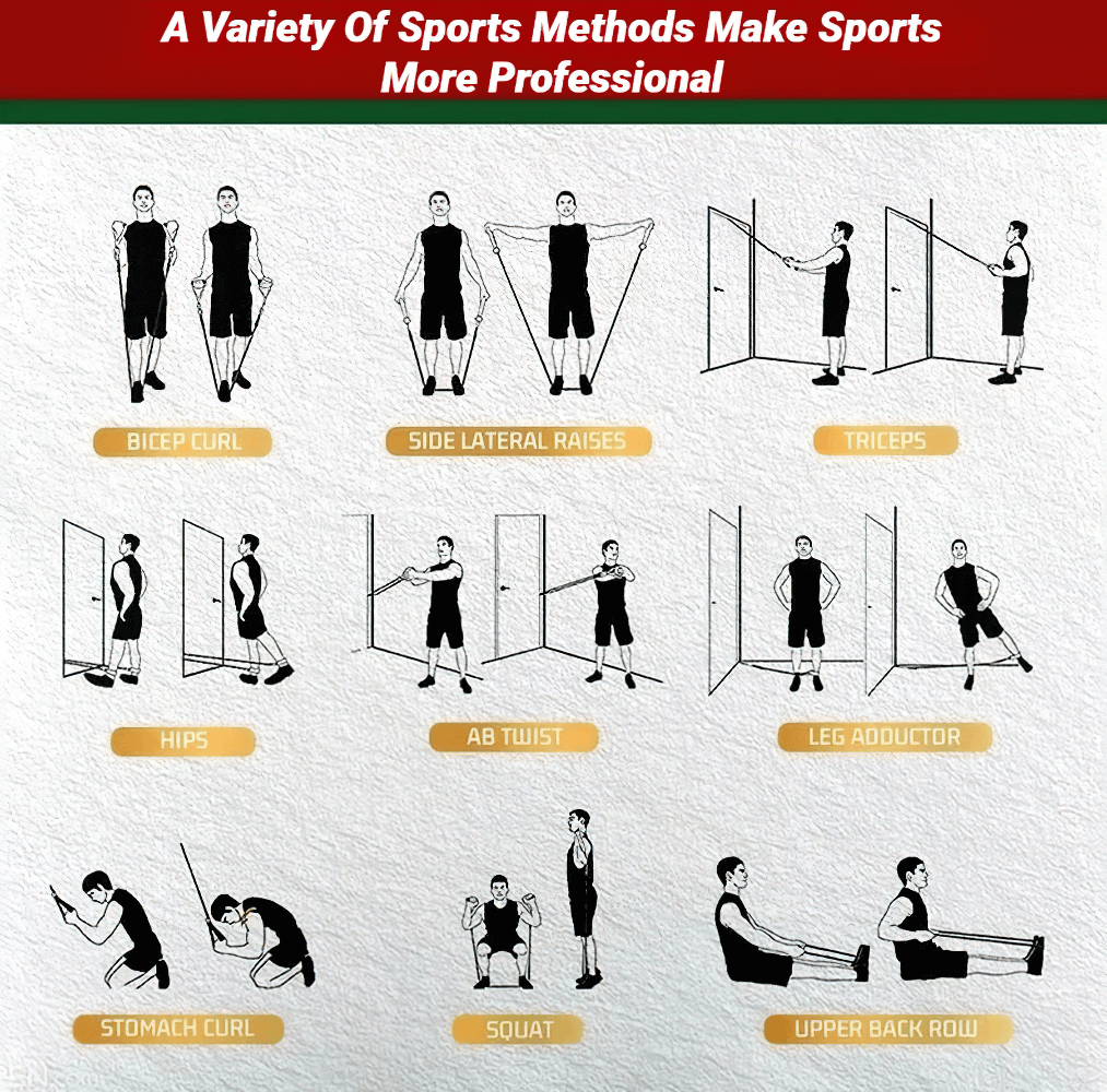 Illustration of nine resistance band exercises for full-body workout, including bicep curls, triceps, ab twist, and squats.
