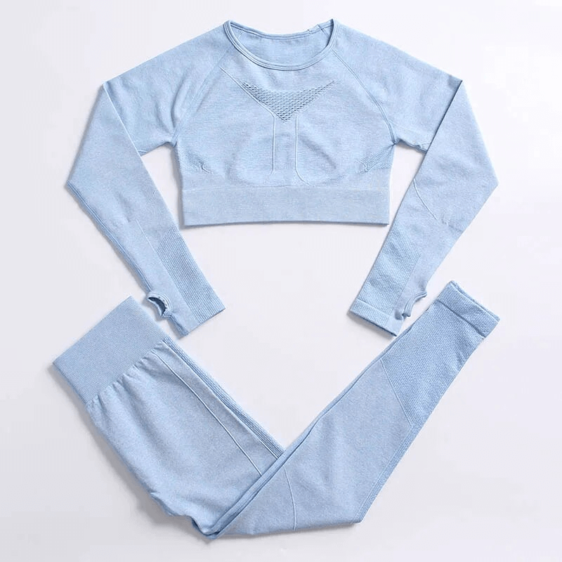 Light blue 2PCS seamless women's yoga set, full-sleeve nylon top and leggings, anti-pilling and windproof, perfect for female yogis.