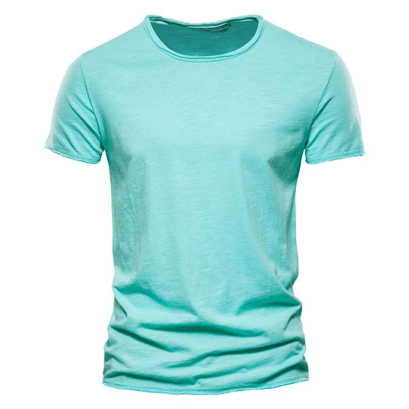 Casual solid color sports crew neck t-shirt for men in aqua, 100% cotton, perfect for workouts or casual wear, short sleeves, SF1785.