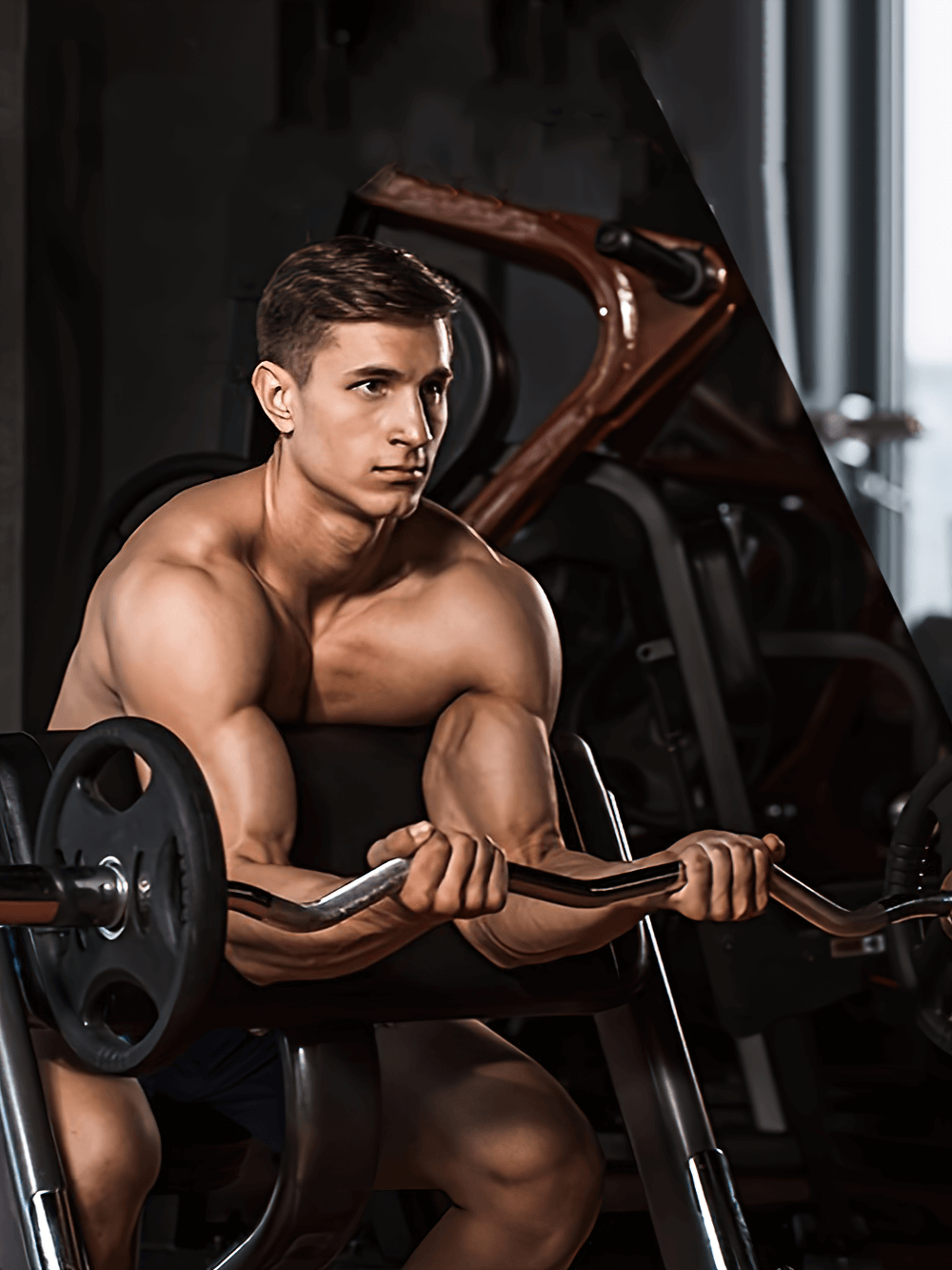 Man performing bicep curls with SF2913 curl barbell in gym