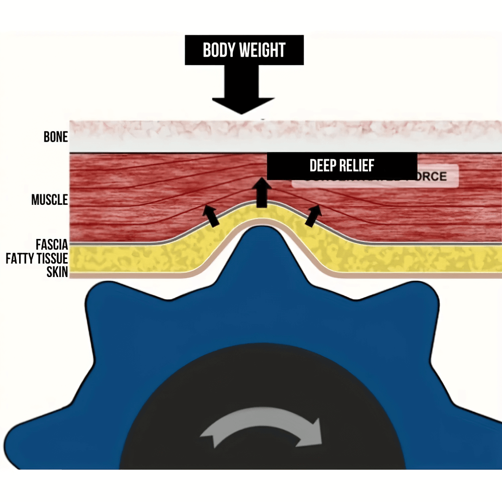 Illustration of Deep Tissue Yoga Foam Roller for Muscle Recovery - SF3487 showing pressure points on muscle for deep relief.