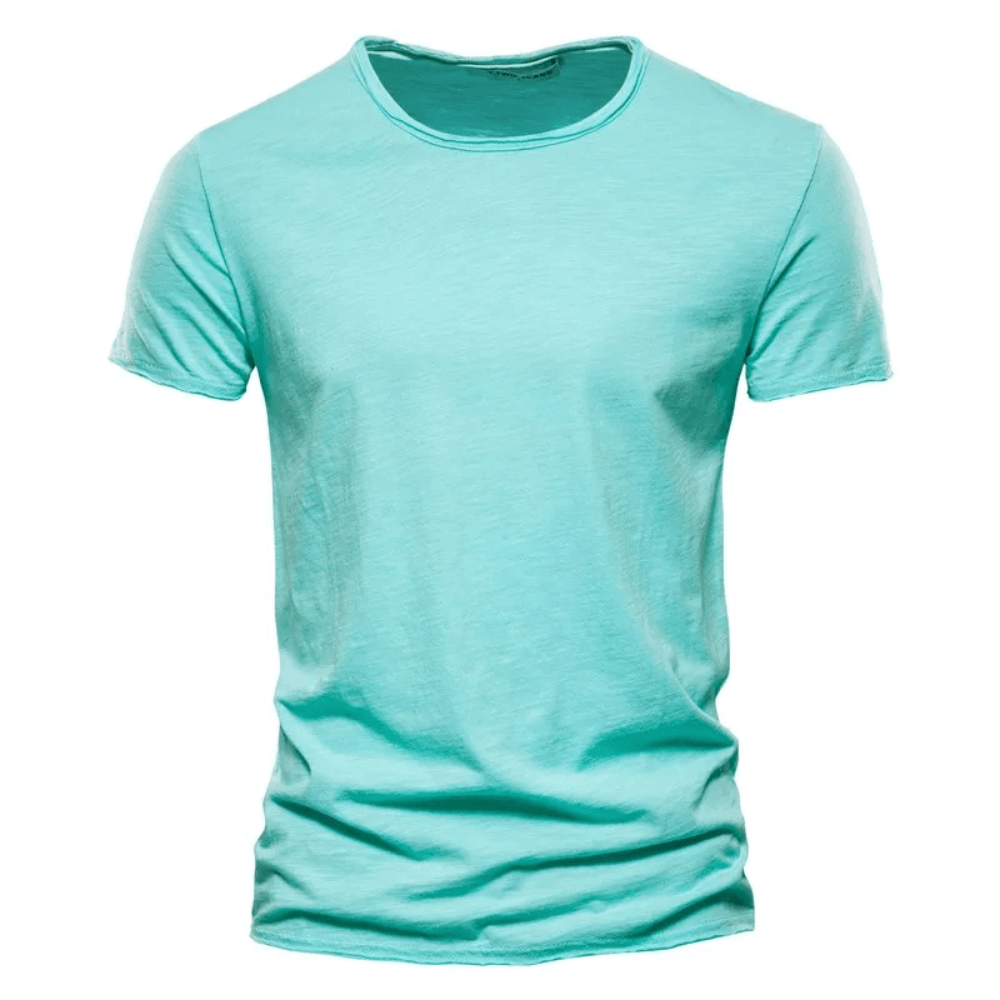 Men's elastic sport T-shirt in mint green, short sleeve and o-neck; perfect for casual wear and fitness. Style code SF2530.