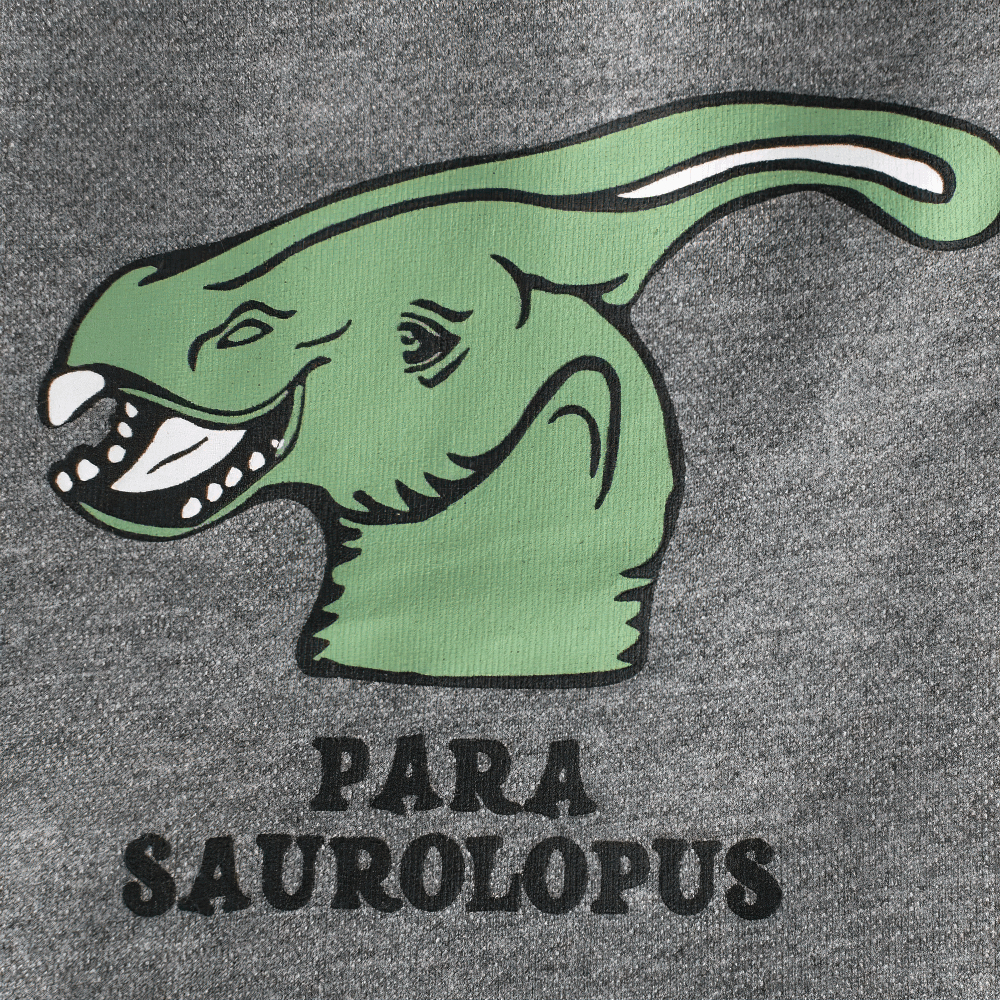 Kids Dino Graphic Shorts for Active Boys - SF3787 featuring green Parasaurolophus print on gray fabric