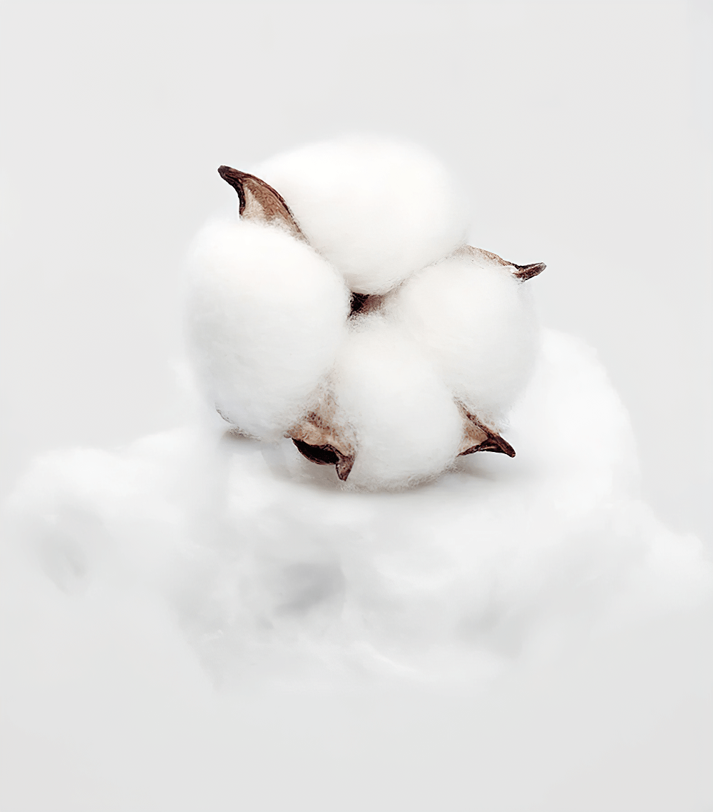 Close-up of a fluffy white cotton boll on a soft, cloudy background.