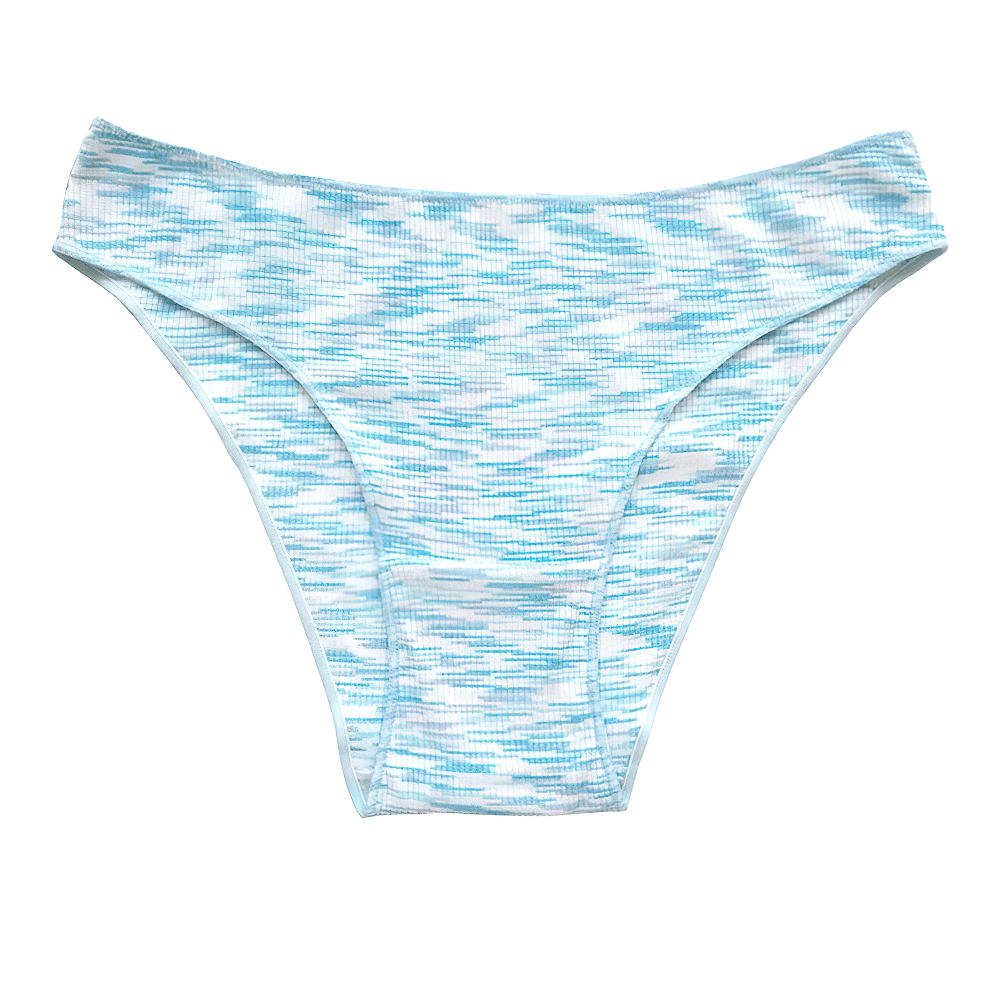 Low Rise V-Waist Seamless Brief Panties for Women - SF4663 in soft pastel blue marled knit design.