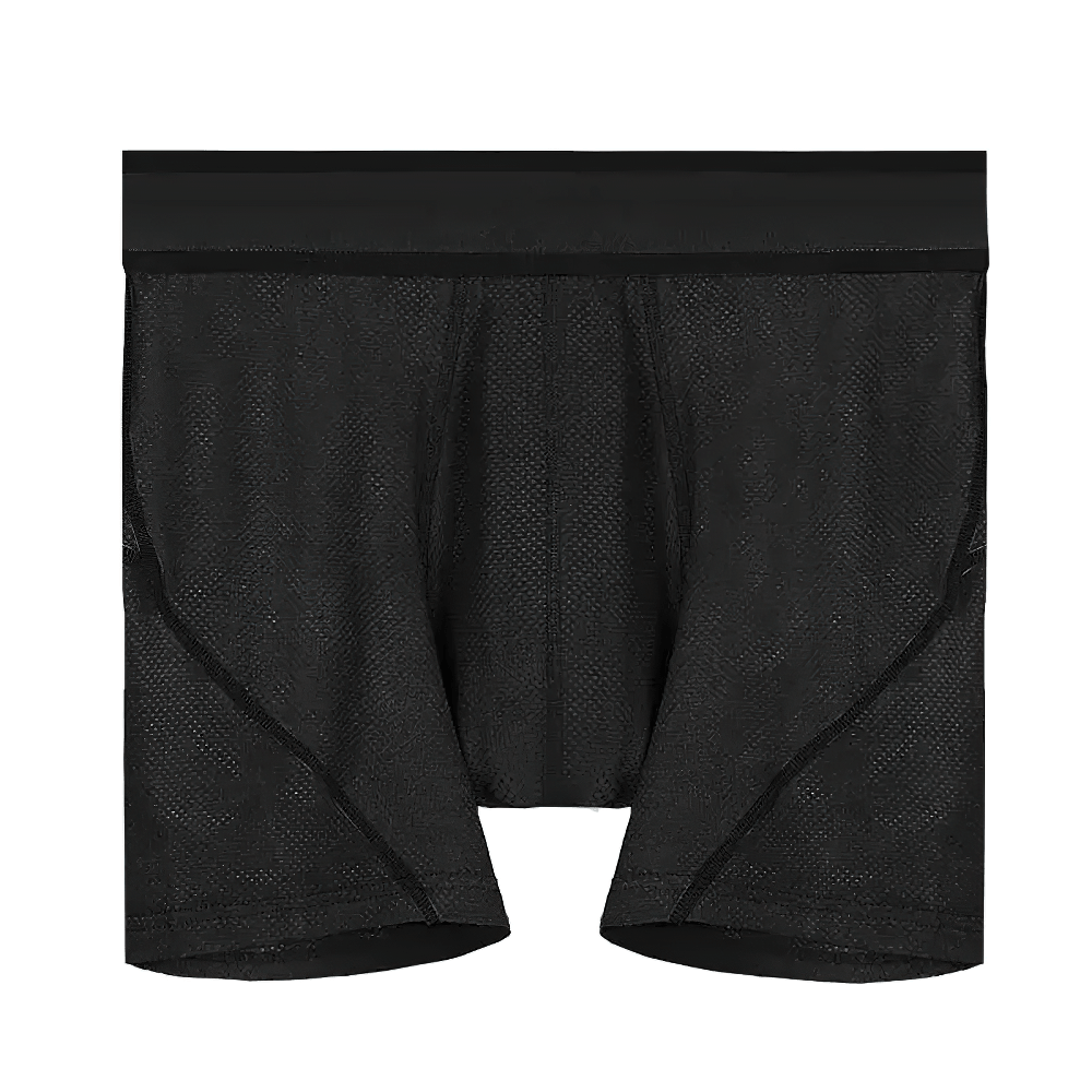 Male Breathable Ice Silk Sports Boxer Briefs - SF4751 in black featuring breathable mesh design.