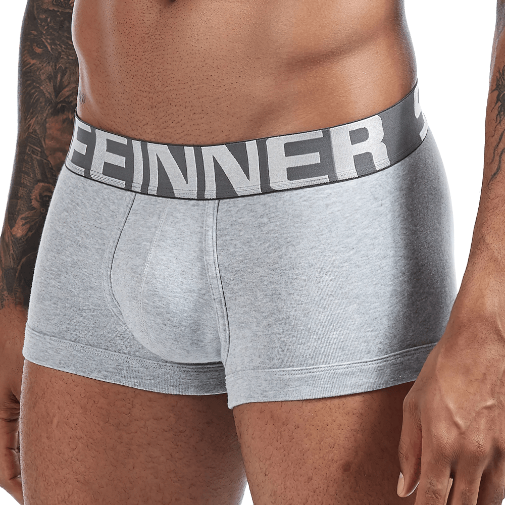 Male Cotton Boxer Briefs Low Rise Underwear - SF4710 in gray with a wide elastic waistband.