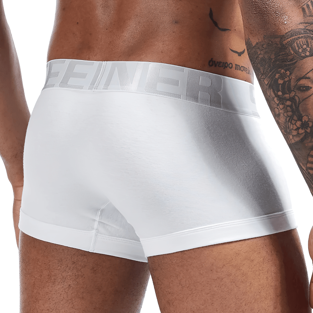 Male Cotton Boxer Briefs Low Rise Underwear - SF4710 with a soft, fitted design and secure elastic waistband.