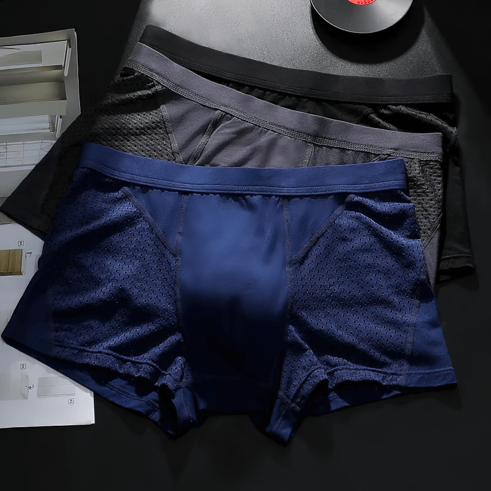 Male Mesh Boxer Briefs with Vent Panels - SF4697