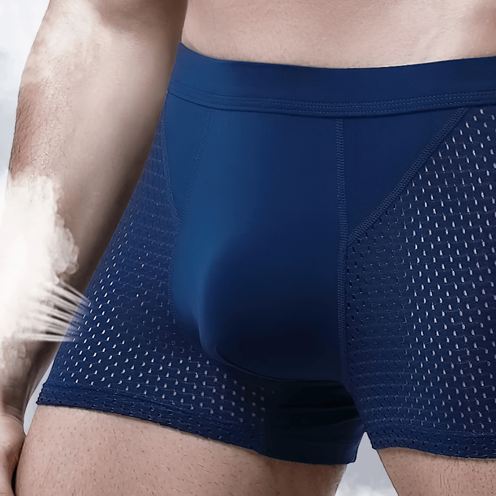 Male Mesh Boxer Briefs with Vent Panels - SF4697