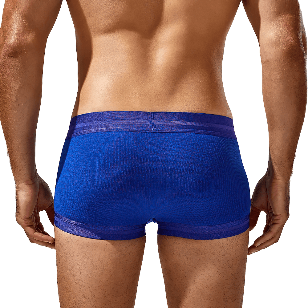Male Ribbed Athletic Boxer Shorts With Stripe Trim - SF4678, showcasing a sleek blue design from the back view.