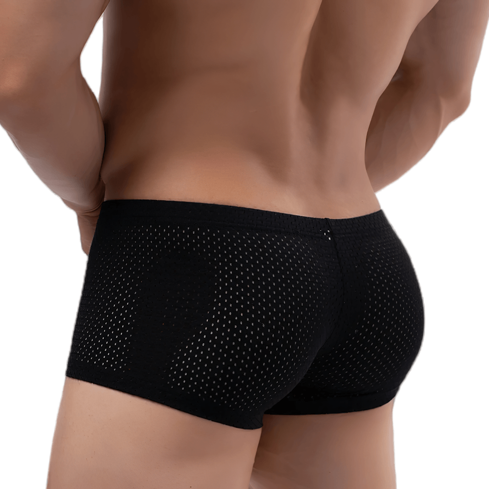 Male Sheer Mesh Boxer Briefs in Low Rise Cut - SF4758 showcased on a model from the back in black.