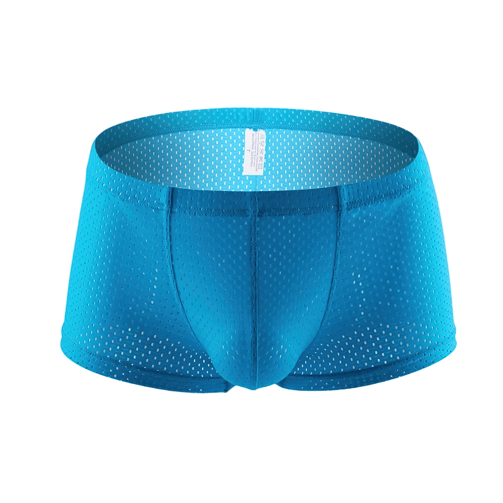 Male Sheer Mesh Boxer Briefs in Low Rise Cut - SF4758 in vibrant sky blue with a perforated design for summer.