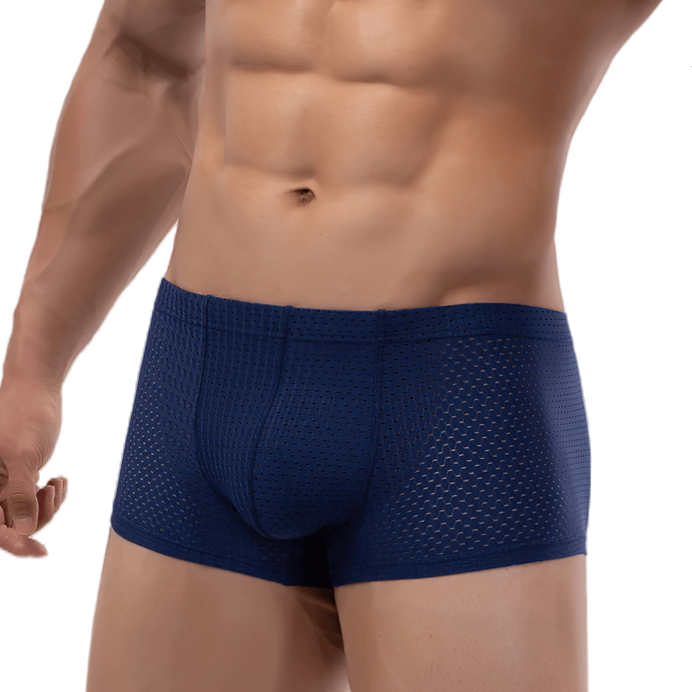 Male Sheer Mesh Boxer Briefs in Low Rise Cut - SF4758 in navy blue, showcasing a stylish fit and breathable design.