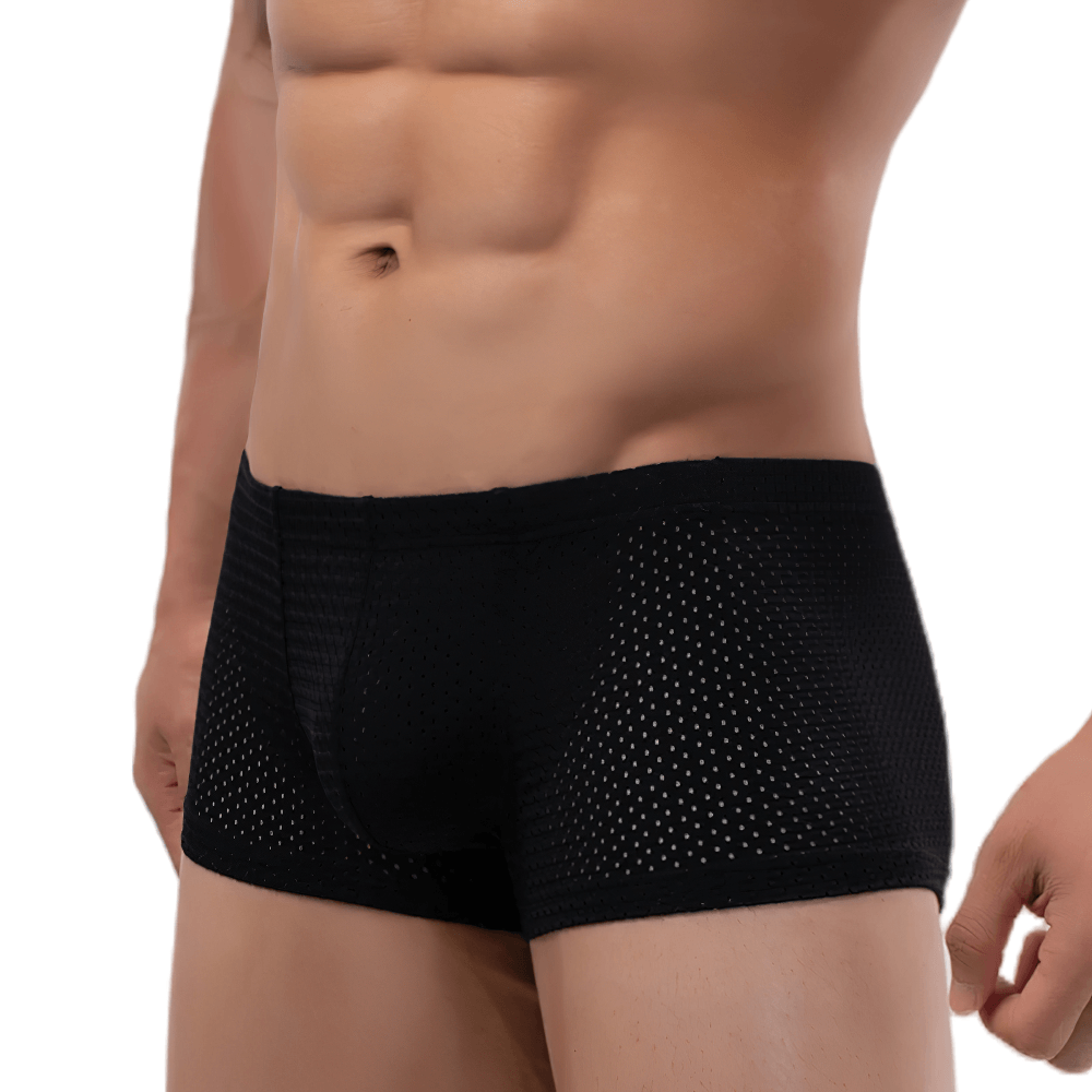 Male Sheer Mesh Boxer Briefs in Low Rise Cut - SF4758 showcasing black perforated design and contoured pouch.