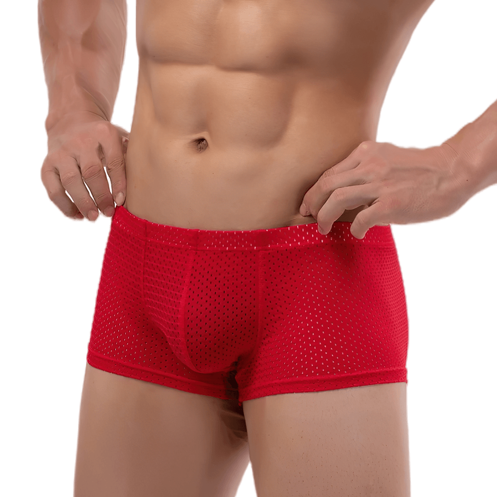 Male Sheer Mesh Boxer Briefs in Low Rise Cut - SF4758 in vibrant red color with a snug fit and breathable design.