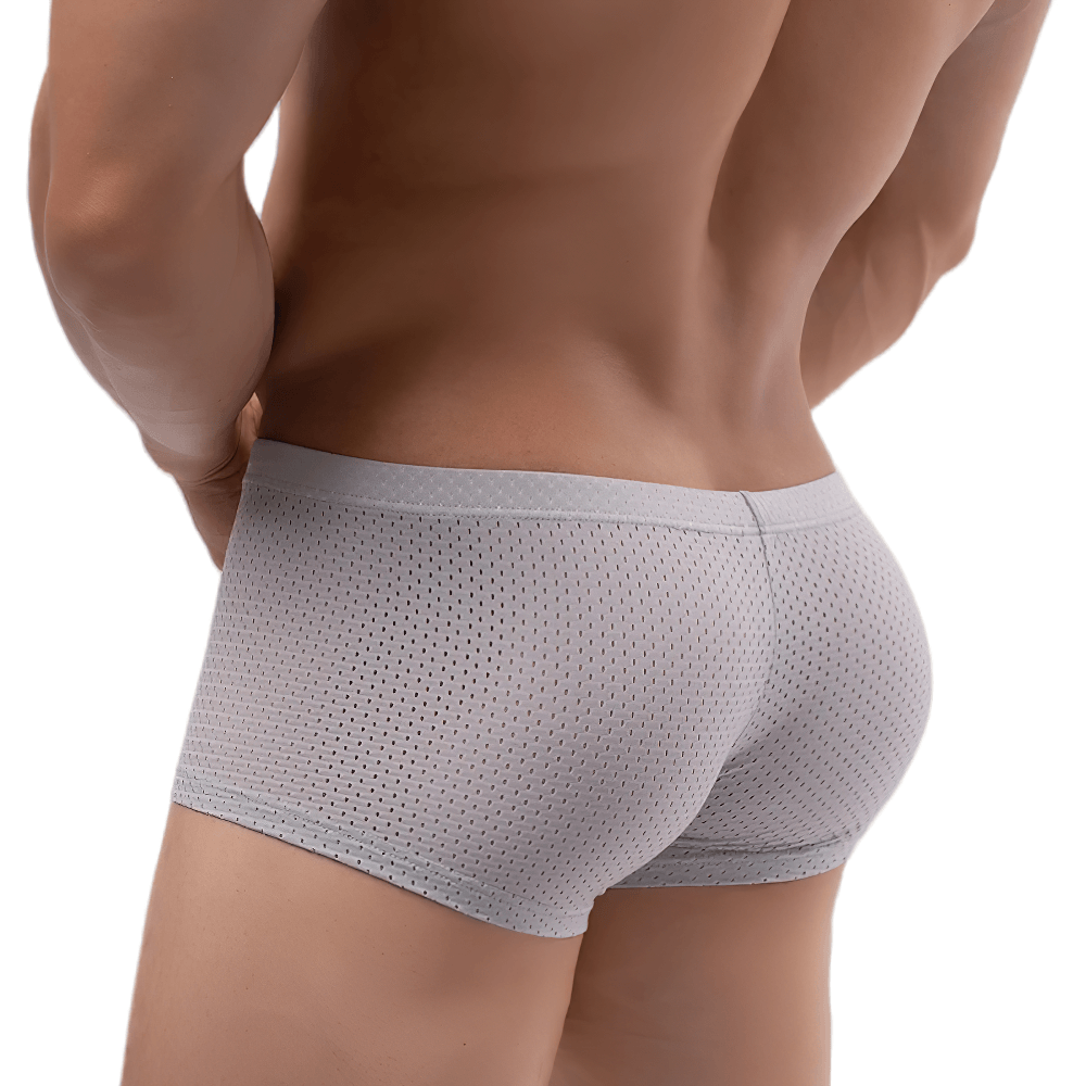 Male Sheer Mesh Boxer Briefs in Low Rise Cut - SF4758 in light gray, showcasing a perforated design and snug fit.