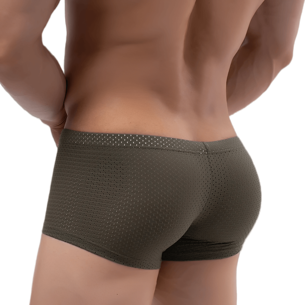Male Sheer Mesh Boxer Briefs in Low Rise Cut - SF4758 showcasing a close-up back view in olive green sheer mesh.