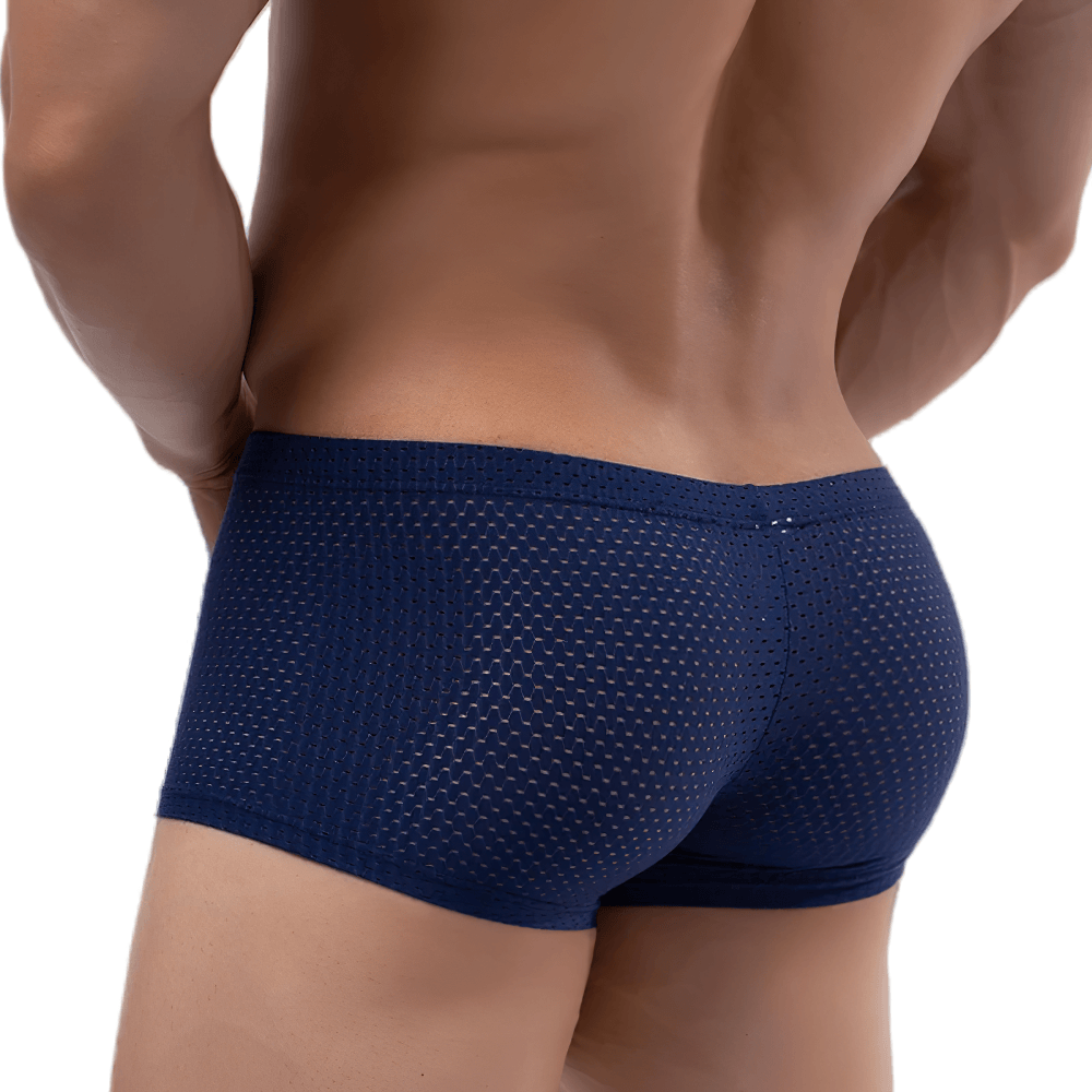 Male Sheer Mesh Boxer Briefs in Low Rise Cut - SF4758, showcasing a navy blue perforated design from the back.