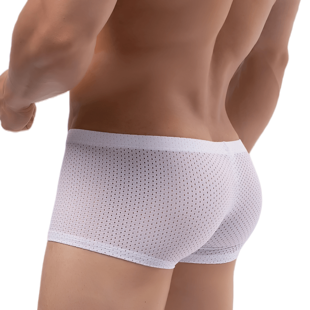 Male Sheer Mesh Boxer Briefs in Low Rise Cut - SF4758 - white perforated design showcasing a stylish fit.