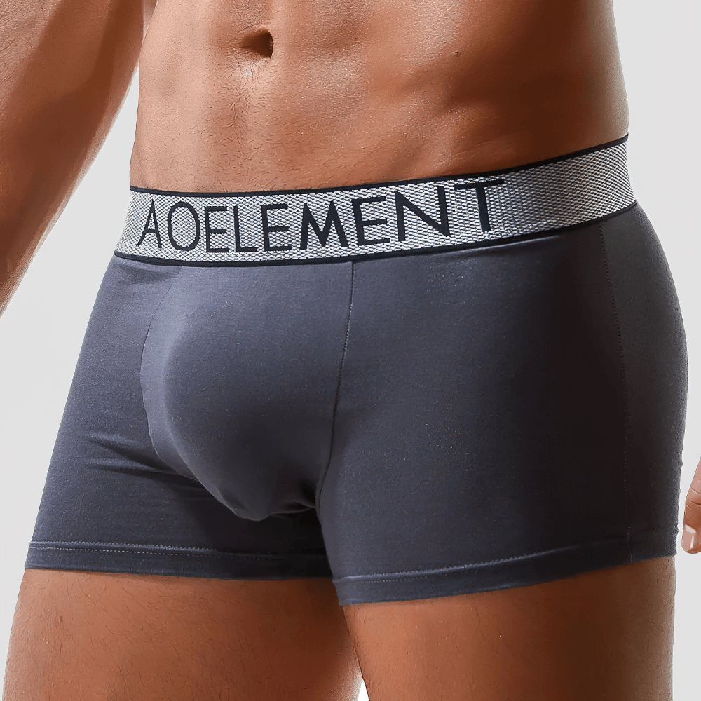 Male U-Convex Pouch Boxer Briefs with Waistband - SF4708 in gray featuring smooth stretch fabric and stylish waistband.