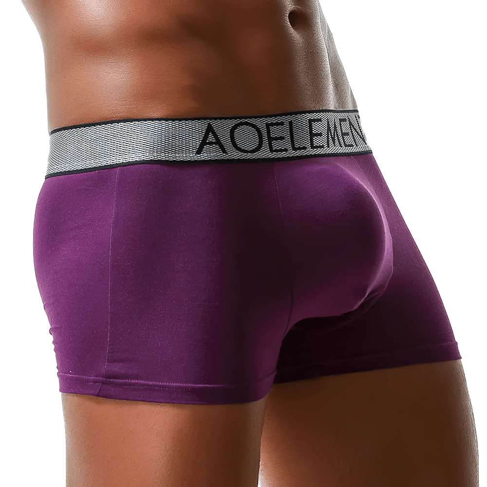 Male U-Convex Pouch Boxer Briefs with Waistband - SF4708 in purple with a smooth stretch body and stylish waistband.