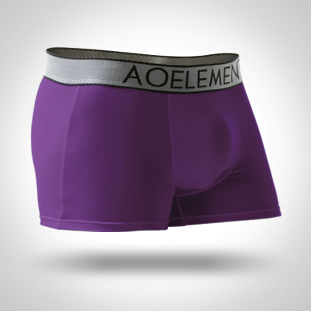 Male U-Convex Pouch Boxer Briefs with Waistband - SF4708 in purple color, showcasing smooth stretch body and stylish waistband.