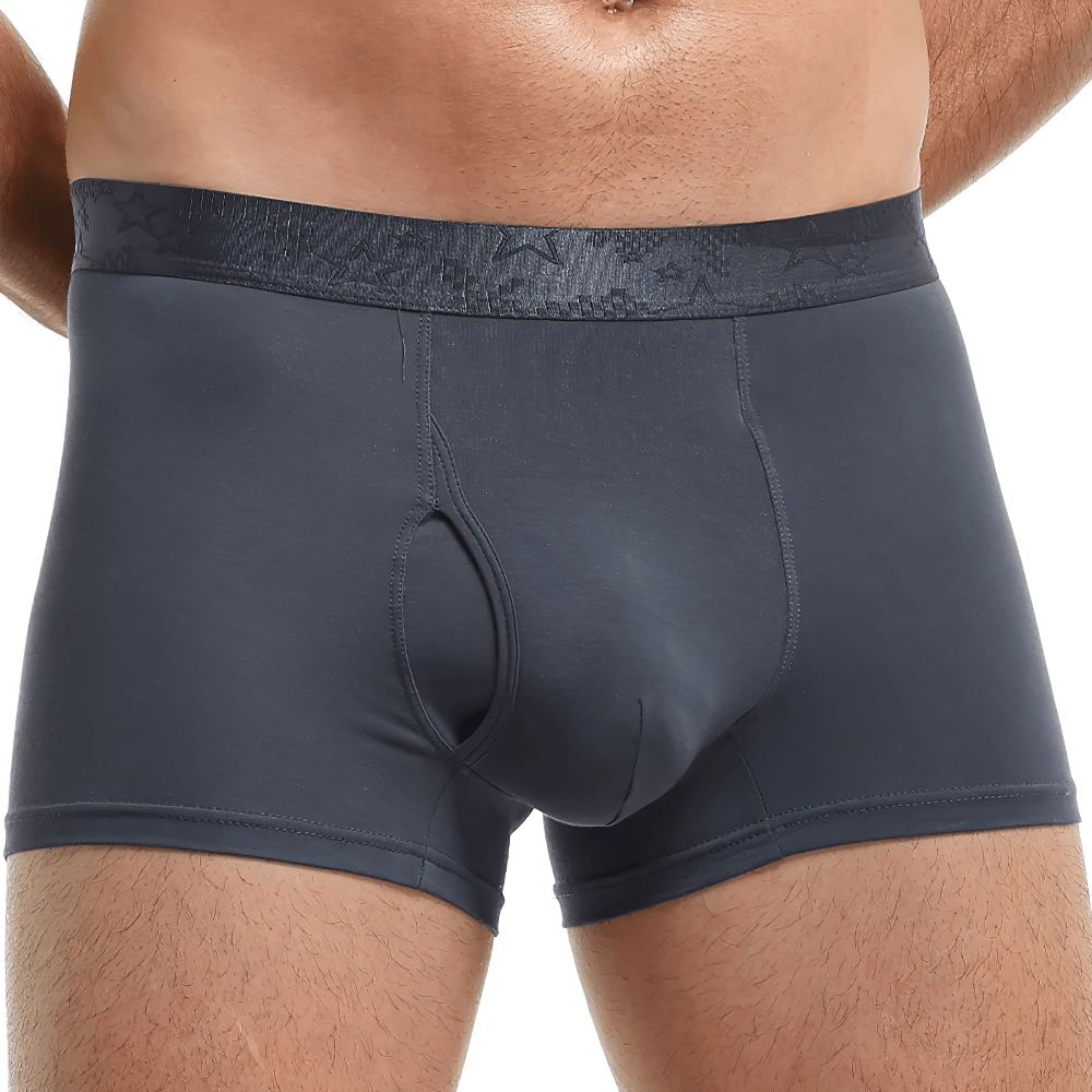 Men's Boxer Briefs with Star Waistband Detail - SF4745 displayed on a model.