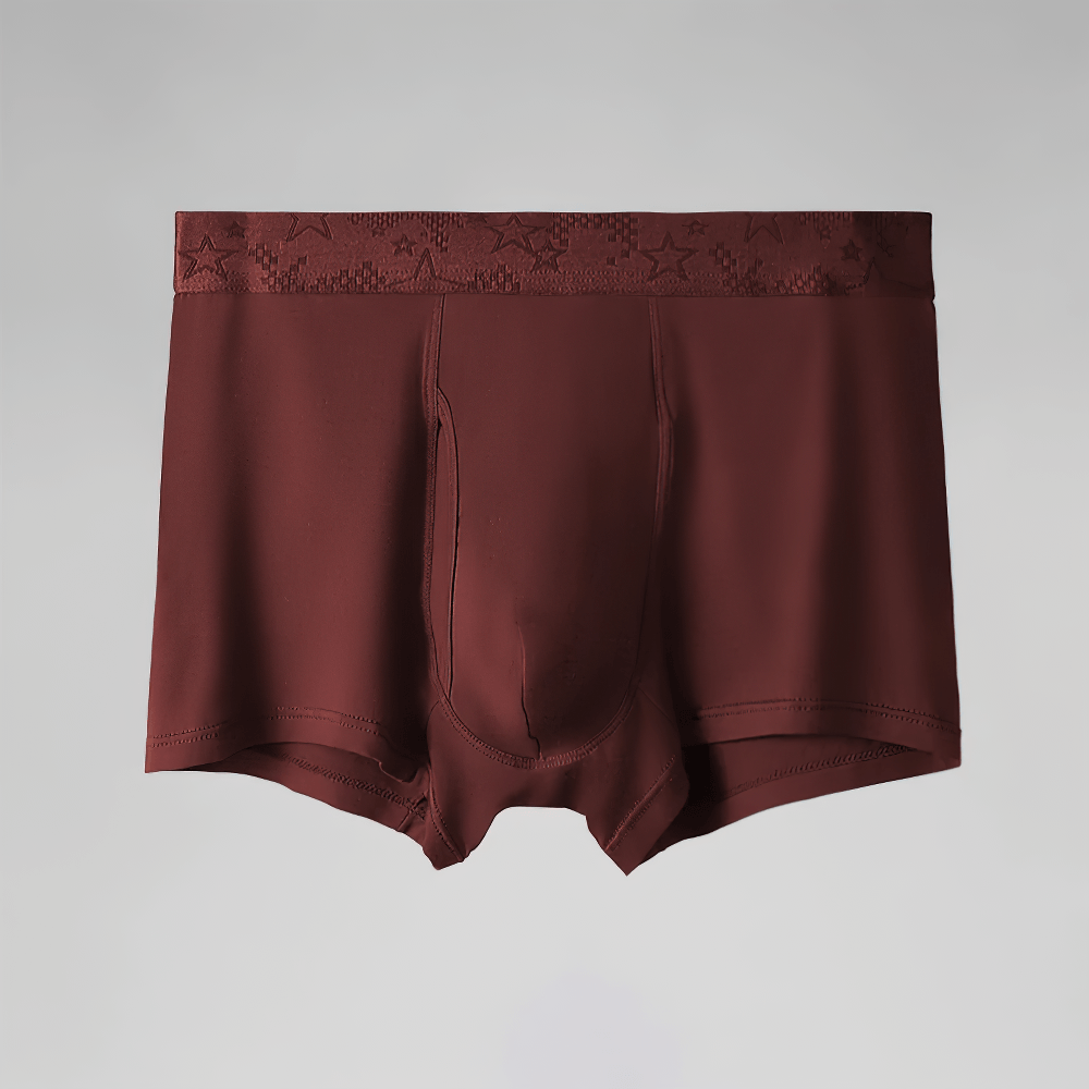 Men's Boxer Briefs with Star Waistband Detail - SF4745 in maroon color, showcasing stylish star waistband design.