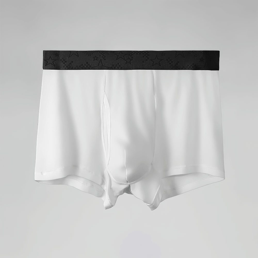Men's Boxer Briefs with Star Waistband Detail - SF4745 showcased against a neutral background, featuring a stylish black star waistband.