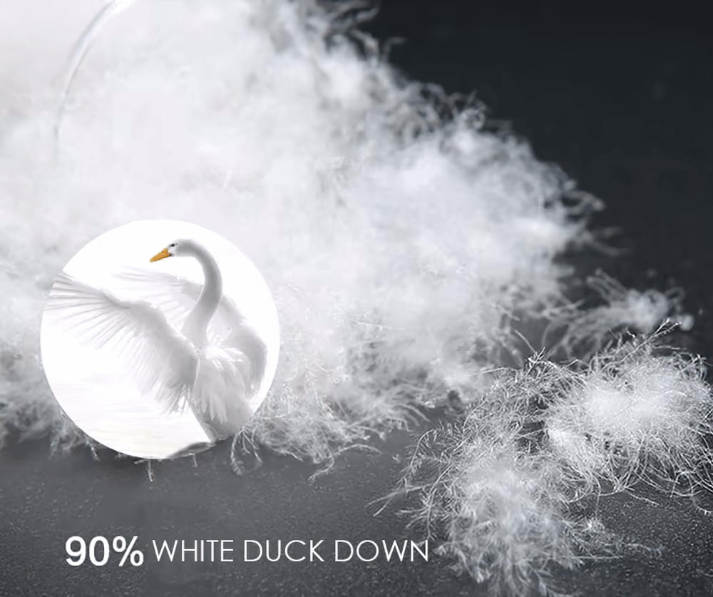 Close-up of 90% white duck down feathers for a men's thermal hooded jacket, illustrating softness and insulation.