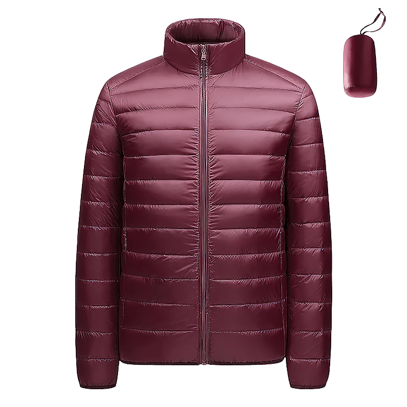 Men's Insulated Down Jacket with Stand Collar - SF1996