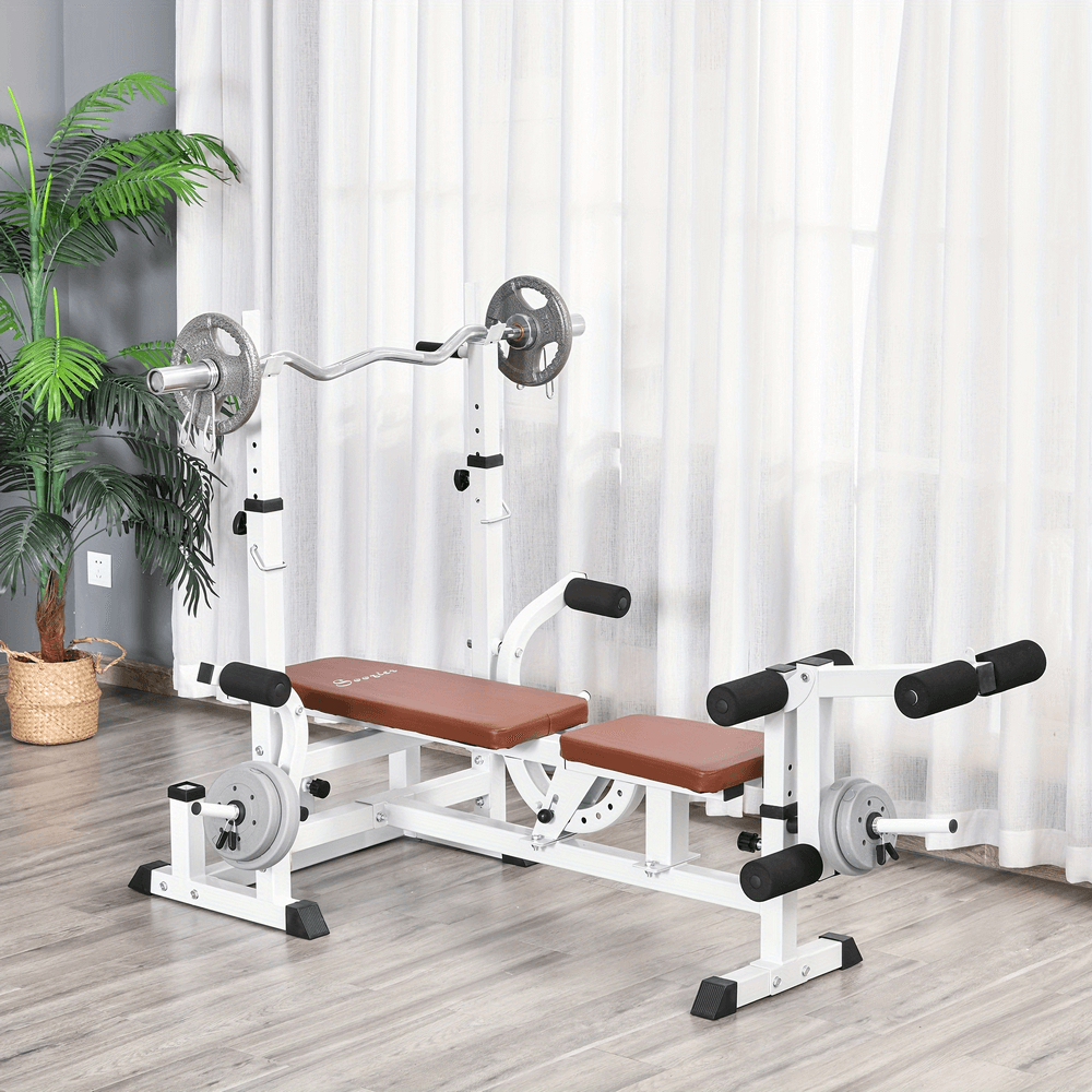 Multi-Function Weight Bench with Preacher Curl - SF3018