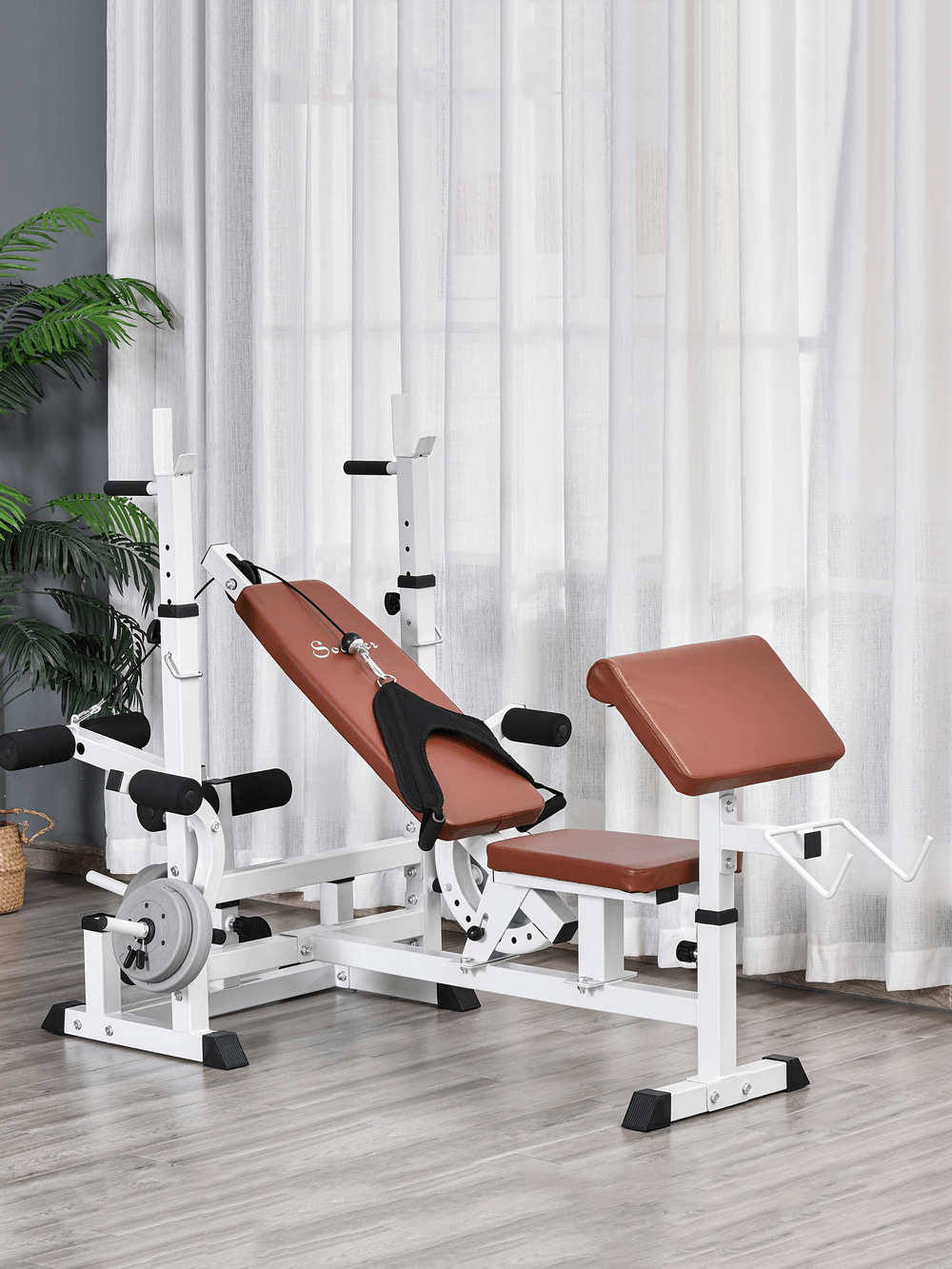 Multi-Function Weight Bench with Preacher Curl - SF3018