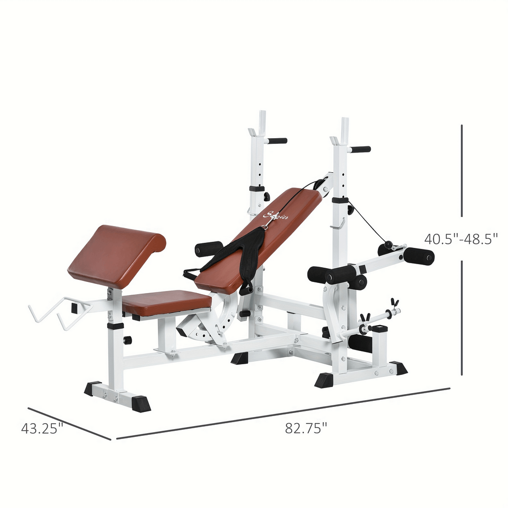 Multi-Function Weight Bench with Preacher Curl - SF3018