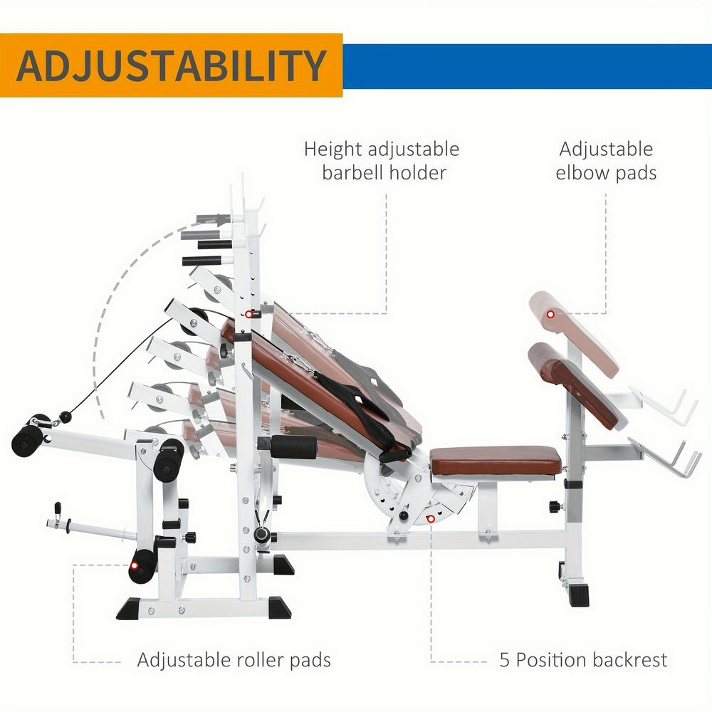 Multi-Function Weight Bench with Preacher Curl - SF3018