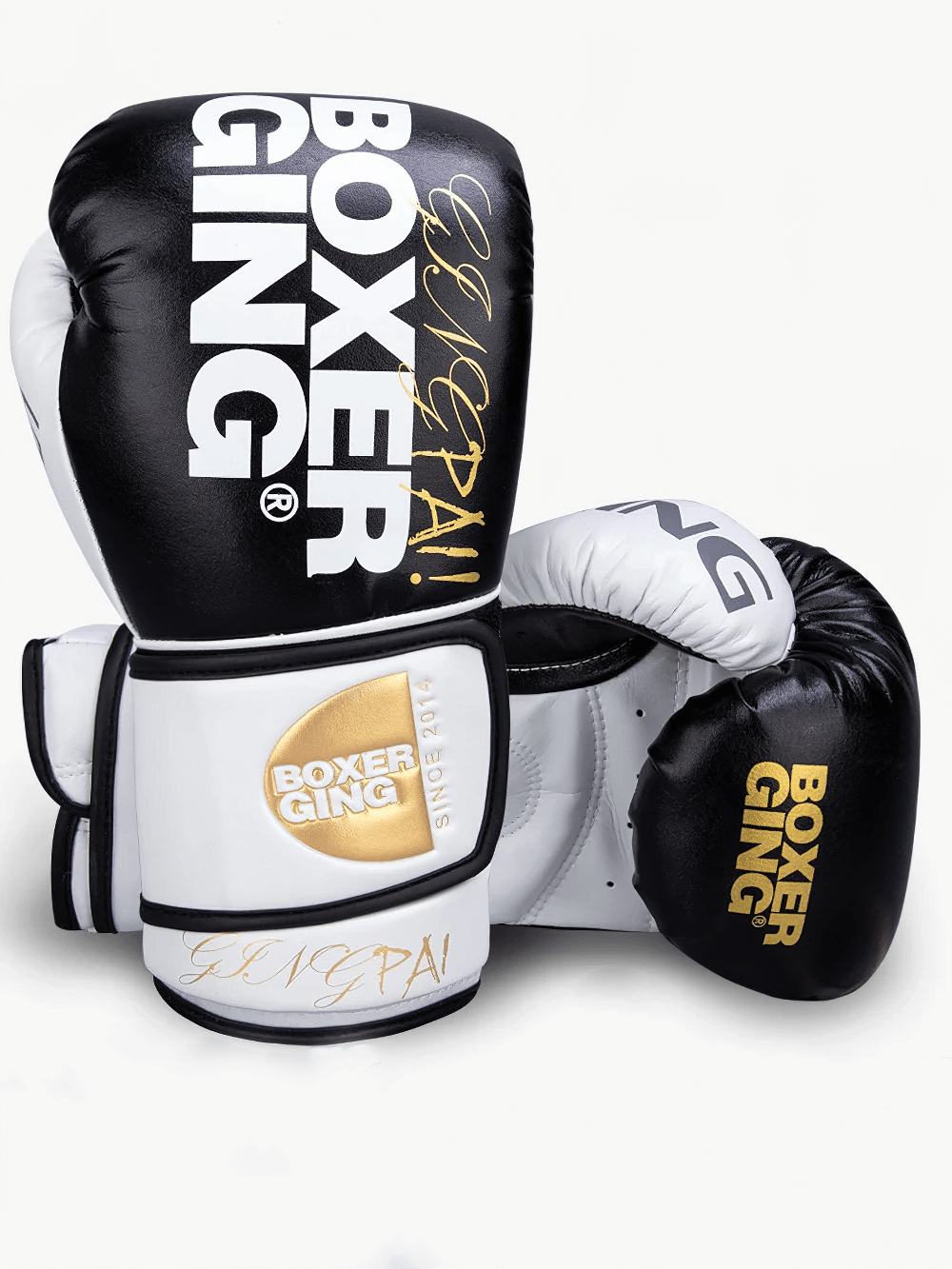 Two-tone leather training boxing gloves with secure wrist support and bold design. Ideal for serious athletes and sparring sessions.