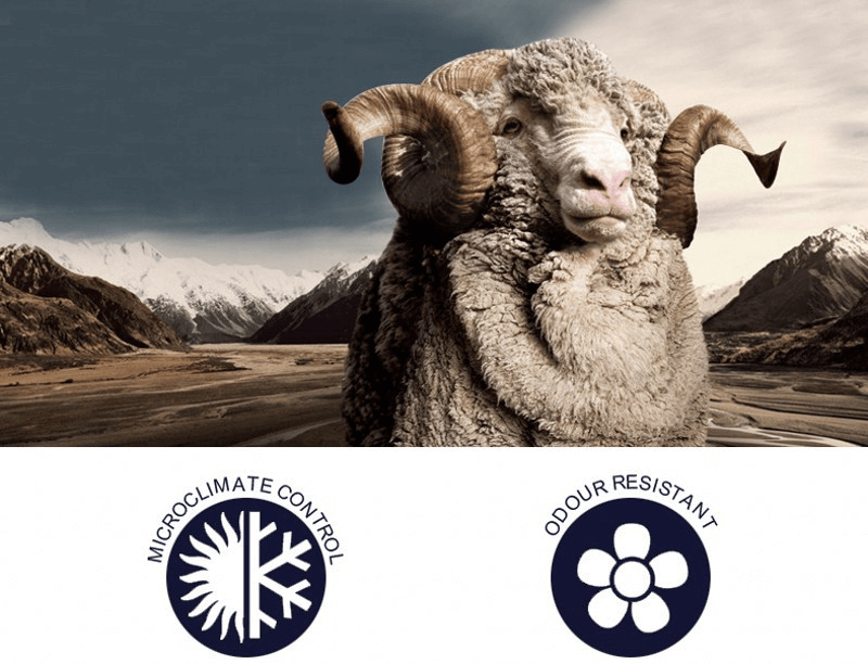 Majestic sheep with large horns in a mountain landscape, showcasing microclimate control and odour resistant benefits of wool.