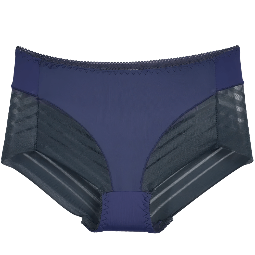 Women's blue sheer stripe high-waist panties, breathable seamless mesh briefs, stylish sheer panel, flattering fit, perfect for daily wear.