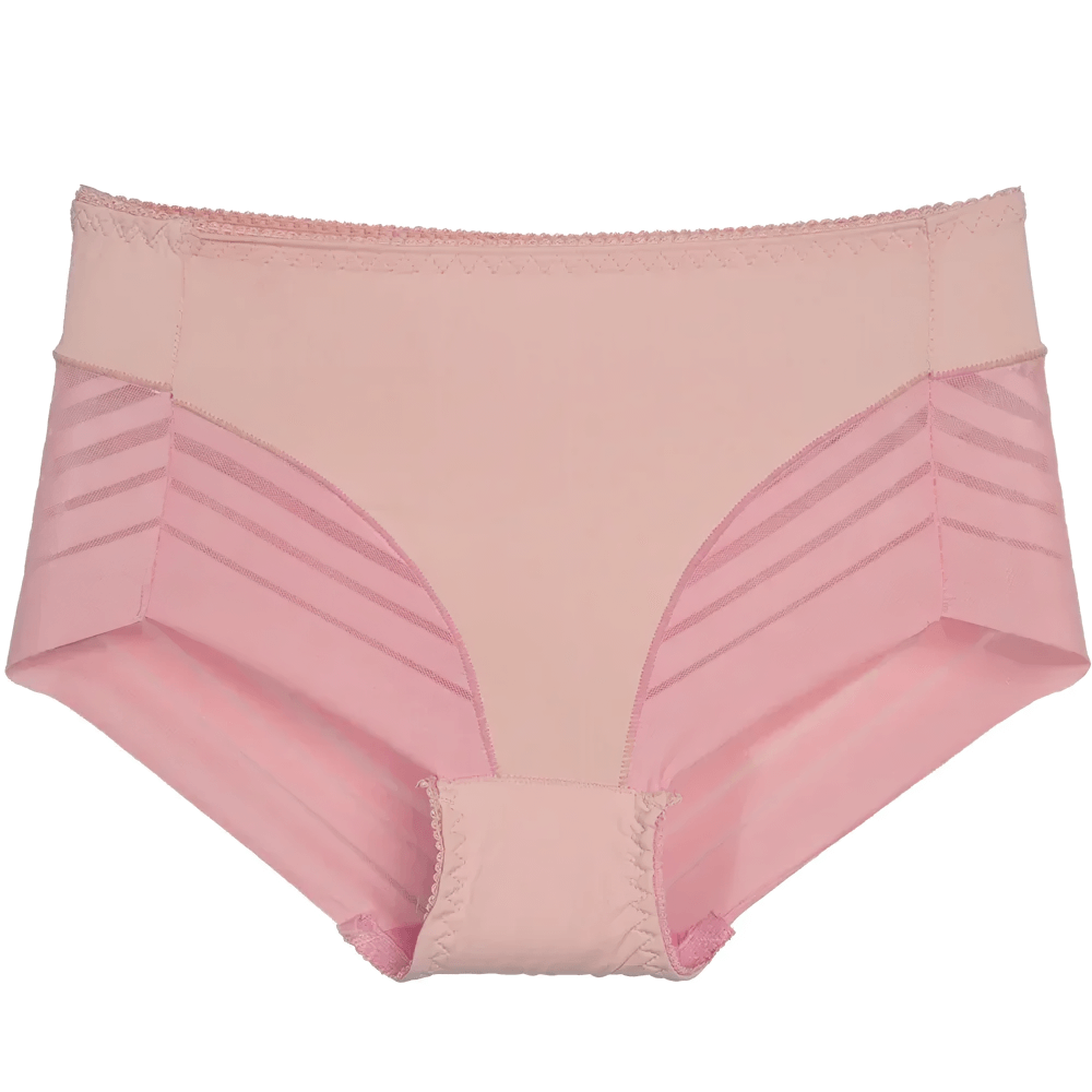 Women's Sheer Stripe High-Waist Panties - SF2512