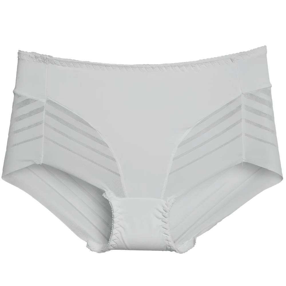 Women's sheer stripe high-waist panties SF2512, breathable seamless mesh briefs with modern sheer panel design.