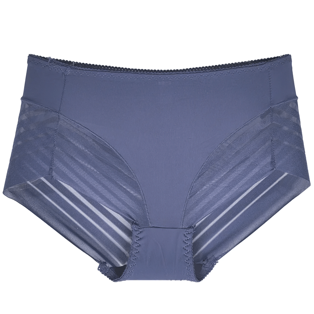 Women's sheer stripe high-waist panties SF2512, breathable seamless mesh briefs with modern sheer panel design.