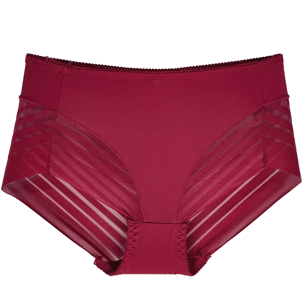 Women's sheer stripe high-waist panties in red, breathable seamless mesh briefs with modern sheer panels for a sleek silhouette.