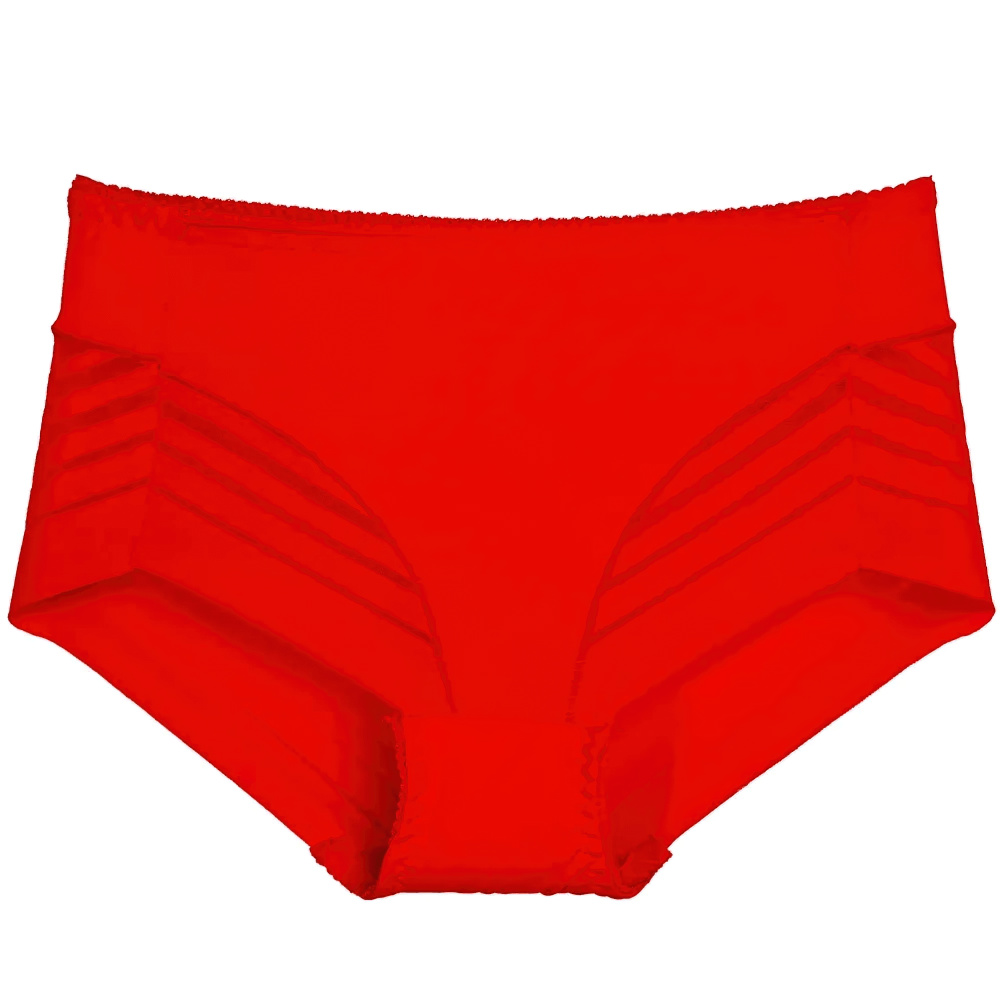 Women's sheer stripe high-waist panties, breathable seamless mesh briefs with modern sheer panel design, SF2512.