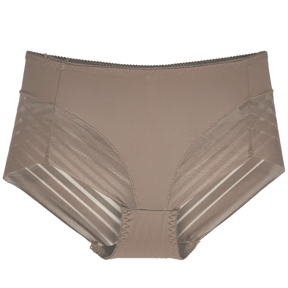 Alt Tag: Women's sheer stripe high-waist panties SF2512, breathable seamless mesh briefs with modern sheer panel design, taupe.