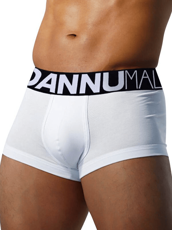 Sexy soft breathable male panties, sports cotton underwear for ultimate comfort and performance, with letter pattern, model SF0782.