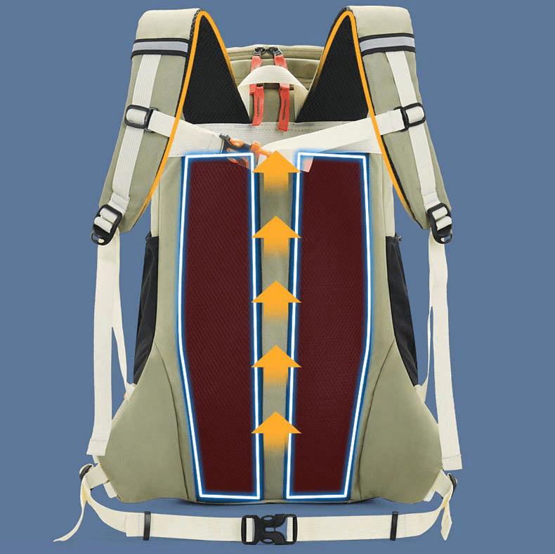 Back view of travel backpack with ergonomic design and airflow technology, ideal for outdoor sports, featuring a structured support system.