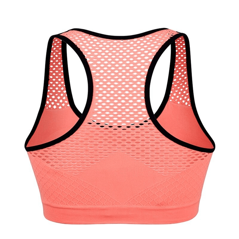 Women's Seamless Yoga Top / Sports Cropped Bra / Quick Dry Mesh Top - SF0032
